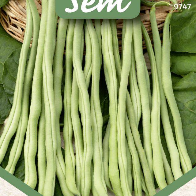 Haricot à rame sans fil Fortex