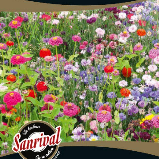 Jachère fleurie - Chrono Annuel