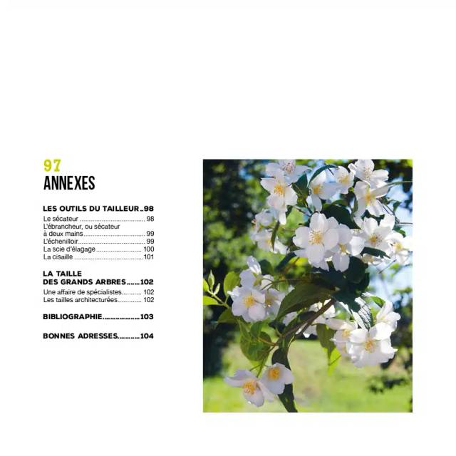 J’apprends à tailler mes arbres – Nouvelle édition (Ed. Terre Vivante)