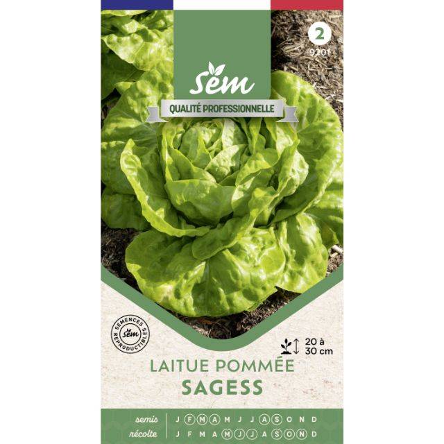 Laitue pommée Sagess - sachet de graines