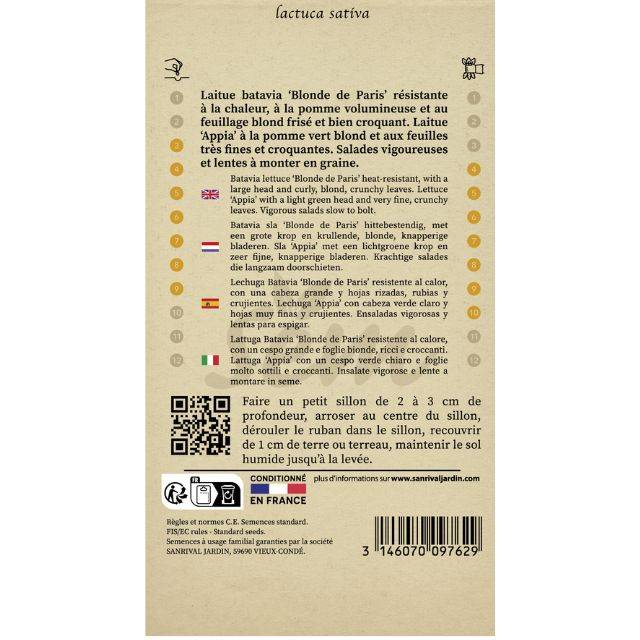 Laitue Batavia Blonde de Paris et Pommée Appia en rubans