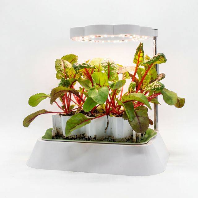 Lampe LED pour base kit germination