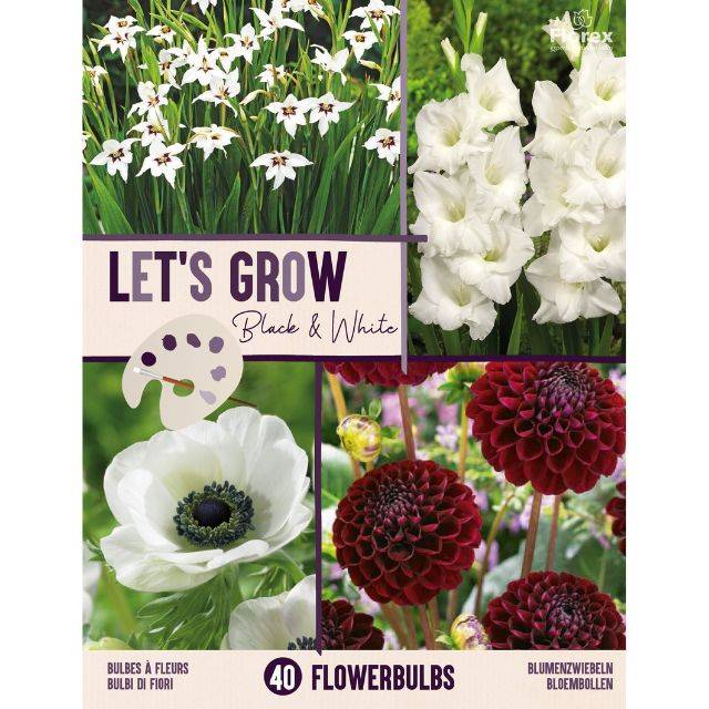 Let's Grow - Noir et Blanc