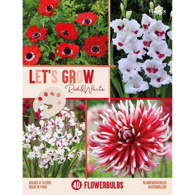 Let's Grow - Rouge et Blanc