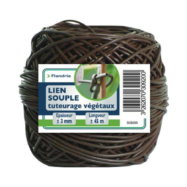 Lien souple pour le tuteurage des végétaux