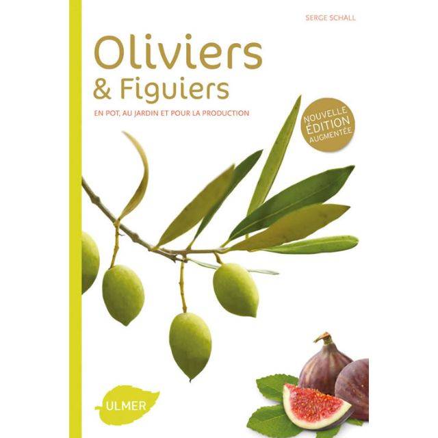 Oliviers et figuiers (Ed. Ulmer)