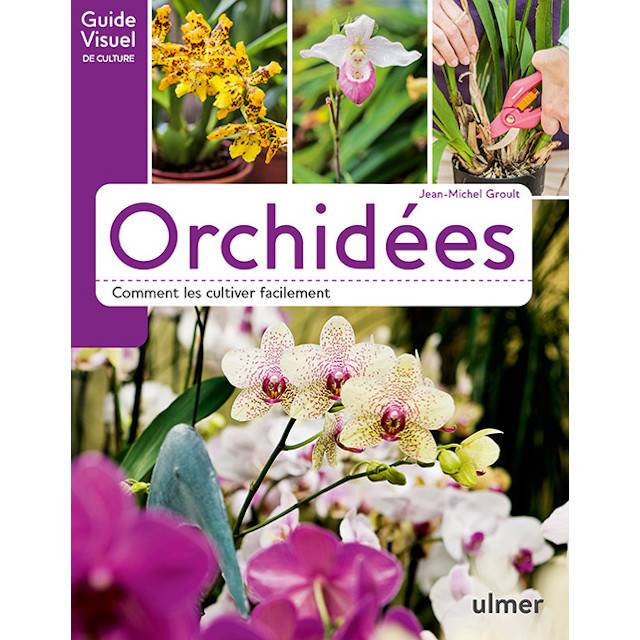 Orchidées - Comment les cultiver facilement (D.R. / Ulmer)