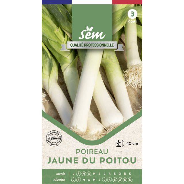 Poireau Jaune du Poitou