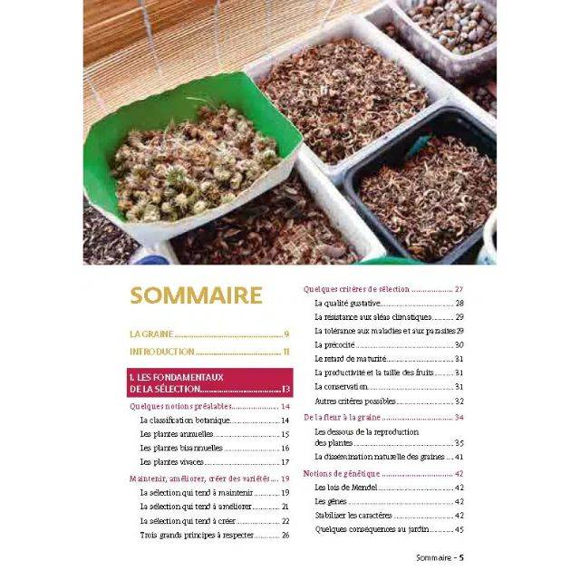 Produire ses graines bio (Ed. Terre Vivante)