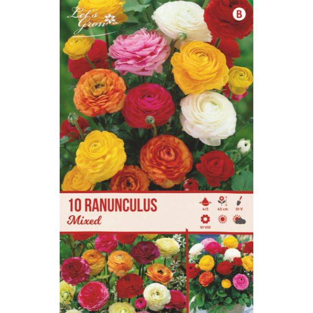 Renoncules en mélange