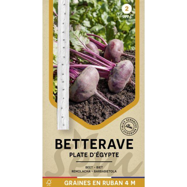 Betterave Plate d'Egypte en ruban