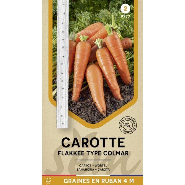 Carotte Flakkee type Colmar en ruban