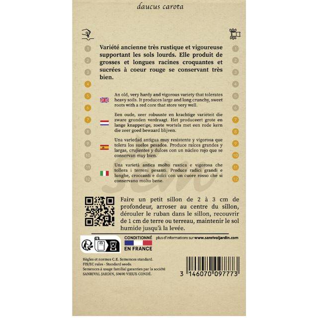 Carotte Flakkee type Colmar en ruban