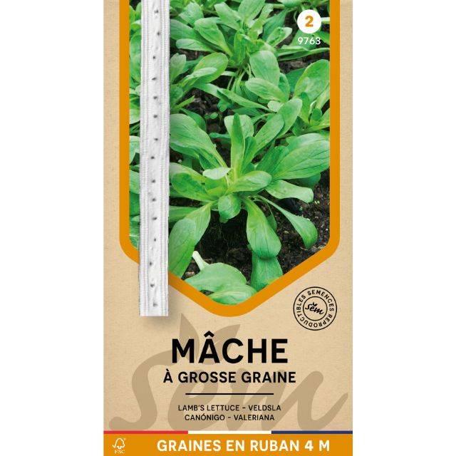 Mâche à grosses graines en ruban