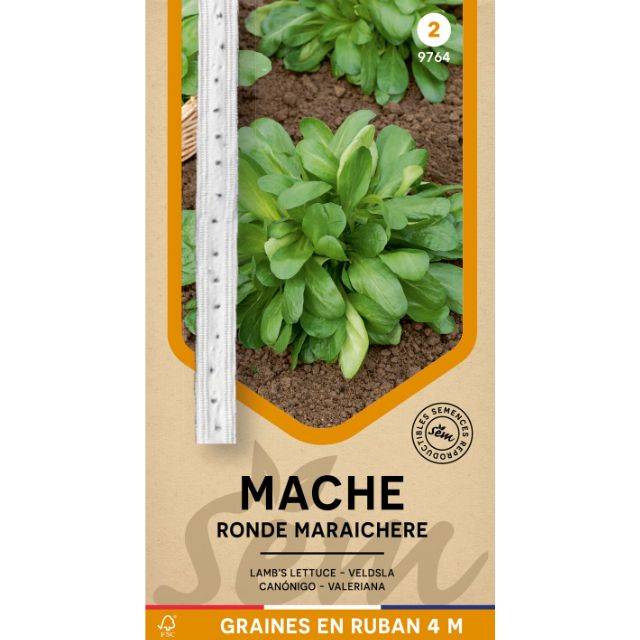 Mâche Ronde Maraîchère en ruban