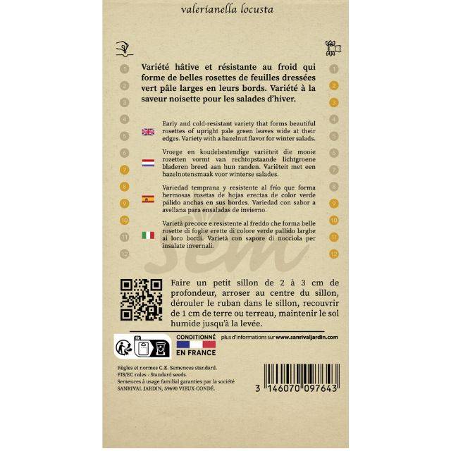 Mâche Ronde Maraîchère en ruban