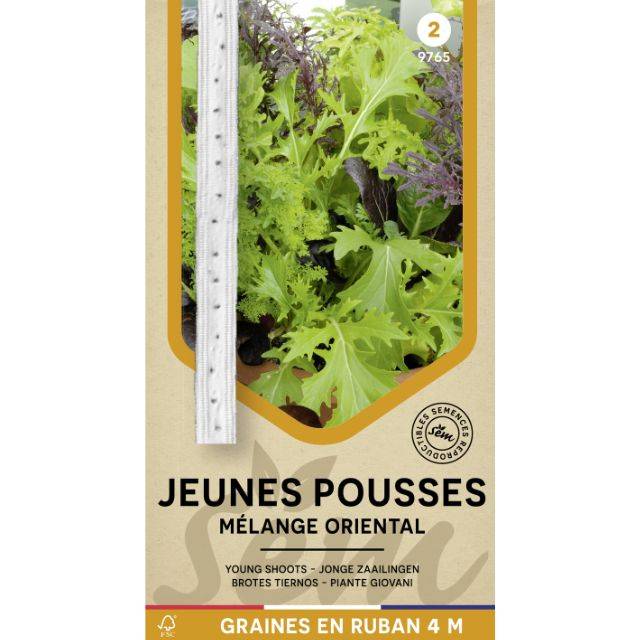 Mélange oriental de jeunes pousses en ruban
