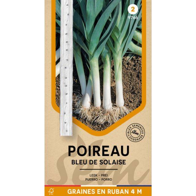 Poireau Bleu de Solaise en ruban