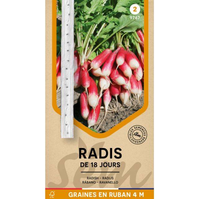 Radis de 18 jours en ruban