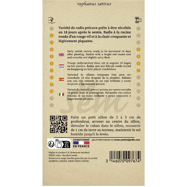 Radis de 18 jours en ruban