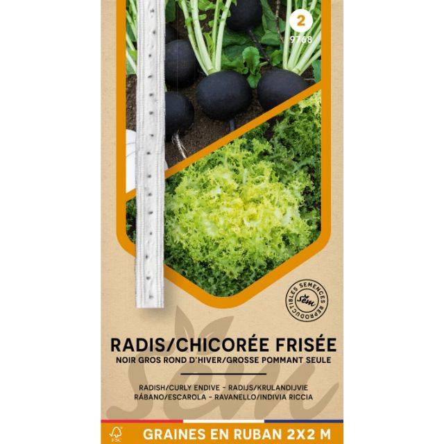 Radis noir et chicorée frisée en rubans