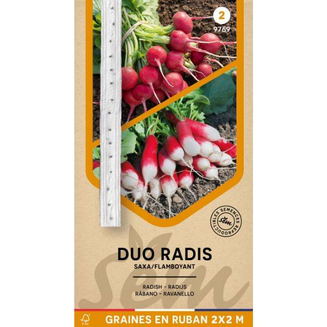 Duo de radis en rubans
