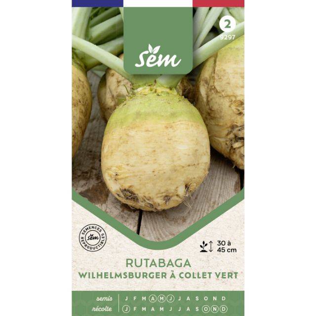 Rutabaga Wilhelmsburger à collet vert