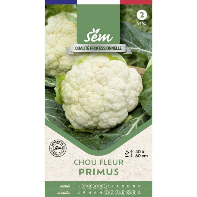 Chou fleur Primus (Automne) - Sachet de graines