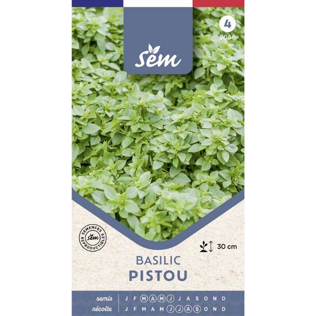 Basilic Pistou - sachet de graines