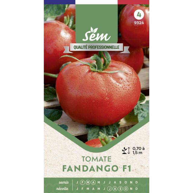 Tomate Fandango F1