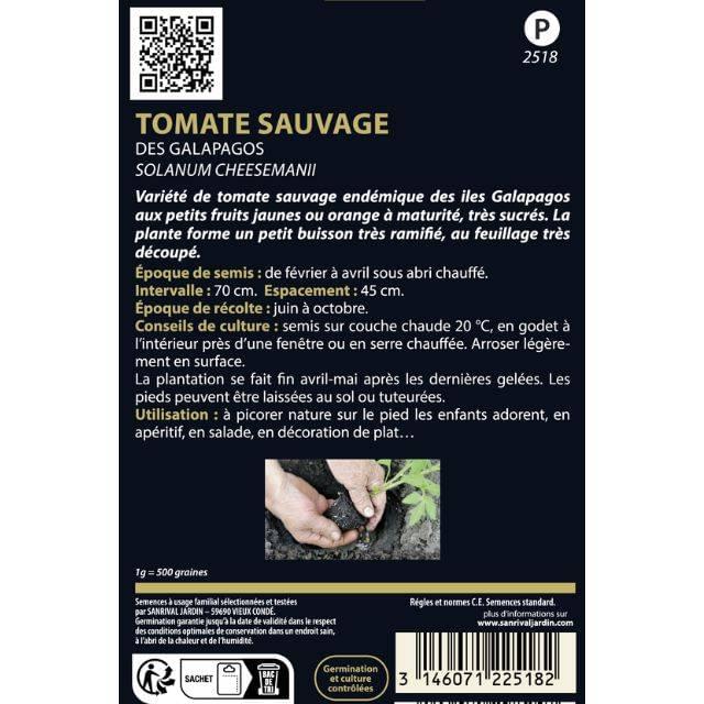 Tomate sauvage de galapagos