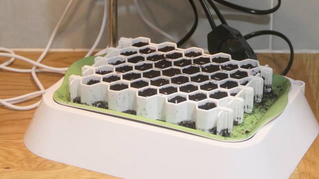Kit de germination taille S sur plateau et base