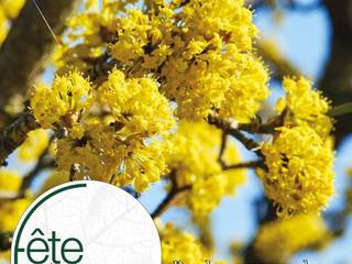 Fête des Plantes de Printemps 2026 à Saint-Jean de Beauregard : quand beauté rime avec gourmandise