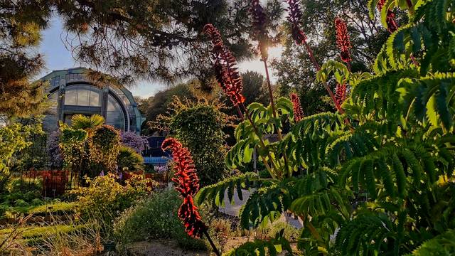 MNHN : le Jardin des Plantes à Paris - edu aguilera / flickr.com