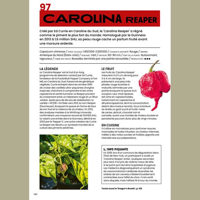 100 piments à cultiver et à déguster : page intérieur (D.R. / Ulmer)