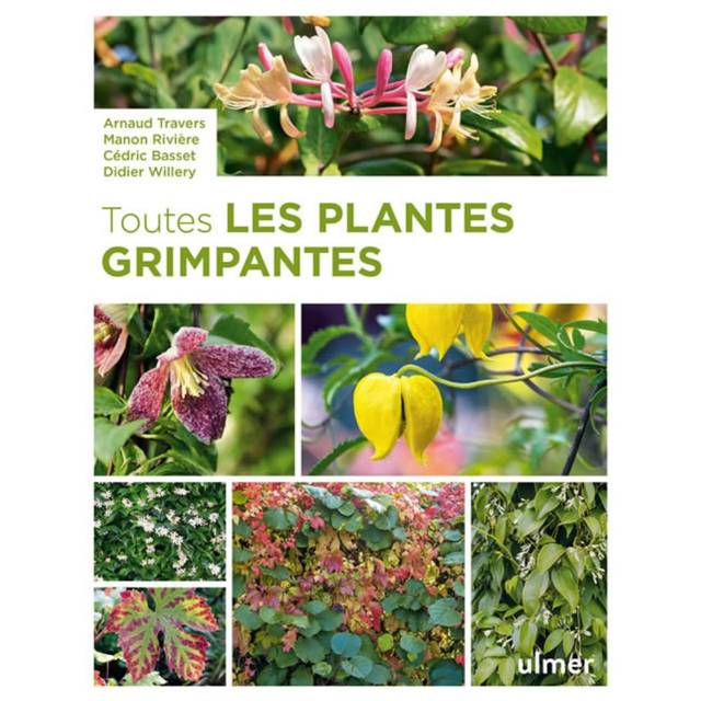Toutes les plantes grimpantes - Edition Ulmer (Ulmer)