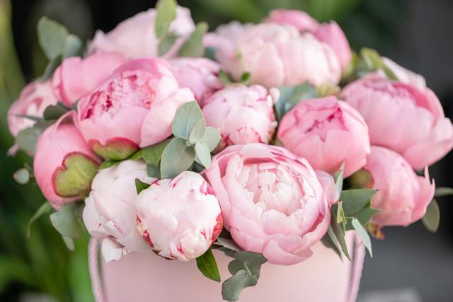 Bouquet de pivoines
