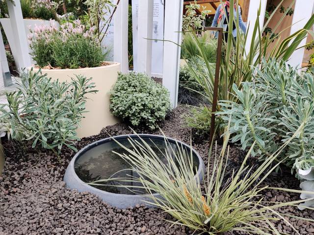 Jardins, Jardin 2025 - Jardin Captain Végétal