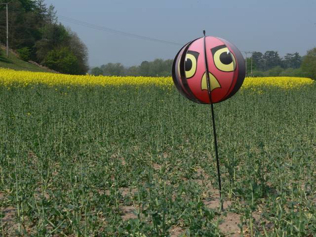 Effaroucheur à oiseaux : ballon évoquant un rapace