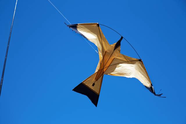 Cerf-volant rapace pour éloigner les oiseaux des fruitiers