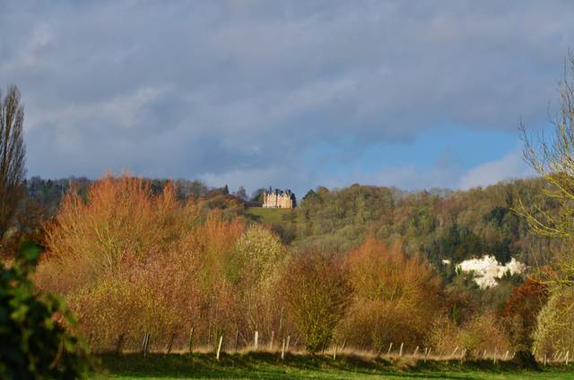 Forêt de Notre-Dame de Bliquetuit