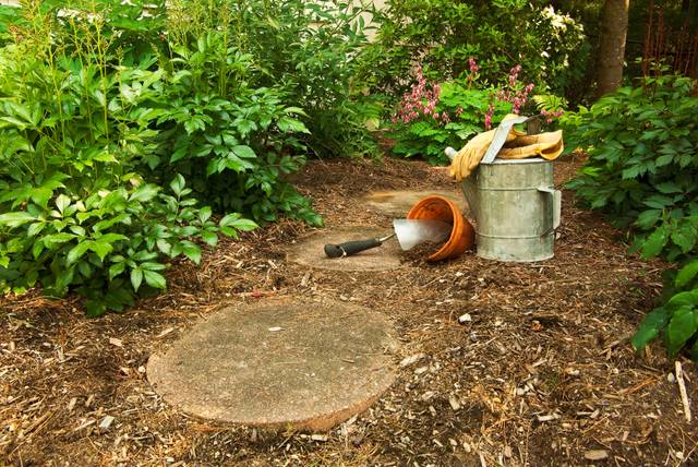 Mise en place de dalles formant un pas japonais dans le jardin