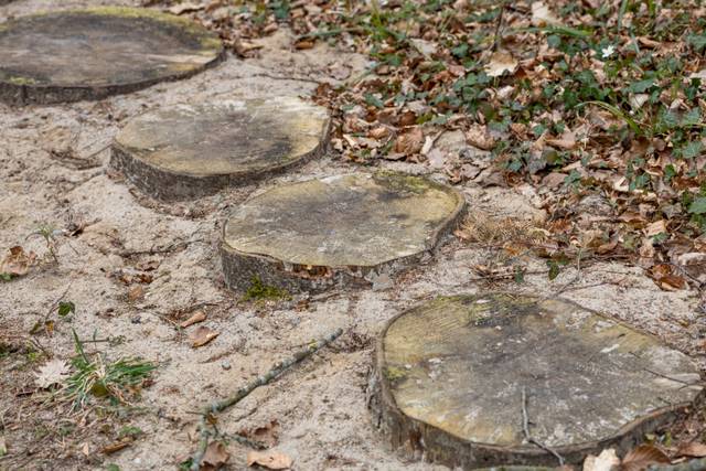Pas japonais formé avec des rondins de bois enterrés