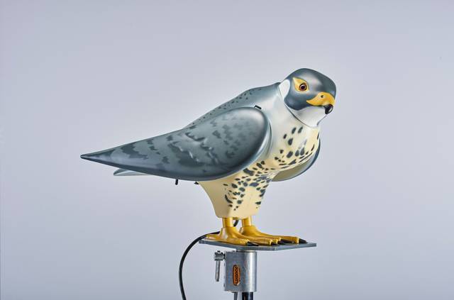 Rapace robot effaroucheur