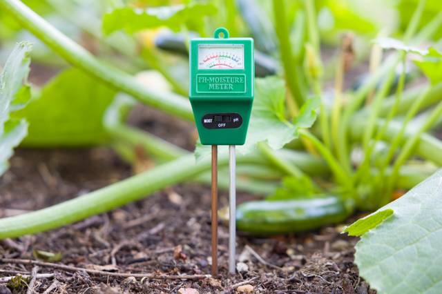 Sonde d'humidité d'un modèle très courant