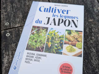 Cultiver les légumes du Japon: Azuki, edamame, mioga, mizuna, shiso, wasabi, yuzu… Cultiver les légumes du Japon: Azuki, edamame, mioga, mizuna, shiso, wasabi, yuzu…