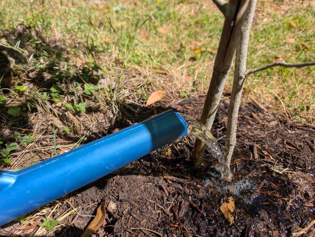 Arrosage au pied des végétaux et au goulot pour économiser l'eau