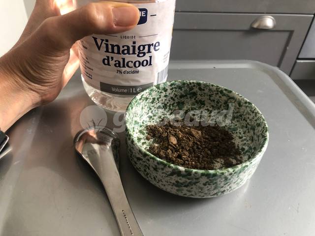 Test au vinaigre pour diagnostic de sol calcaire - Clémentine Desfemmes