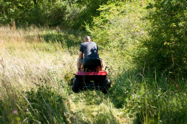 Tondeuse autoportée dans une prairie