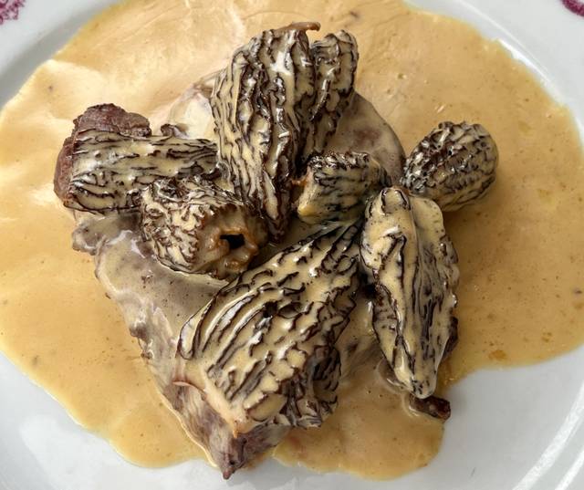 Entrecôte à la crème et aux morilles